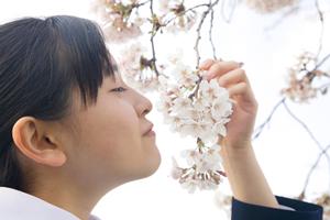 毎週子どもと触れ合えるインターンシップ